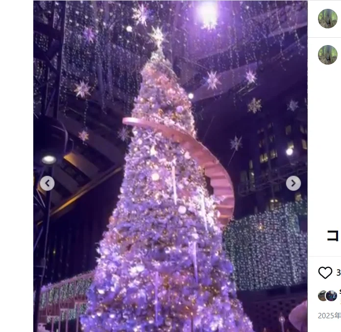 An unexpected tree in Shinjuku — Haruru’s photograph