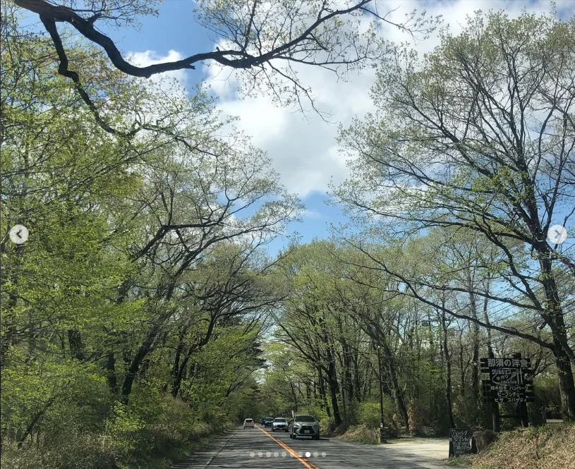 新绿的路、购物，和紀行庵午餐 — Haruru 的照片