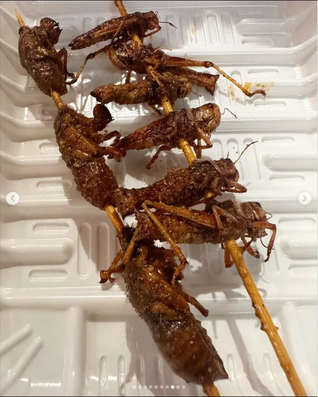 Grasshopper and silkworm skewers, followed by oysters — Haruru’s photograph