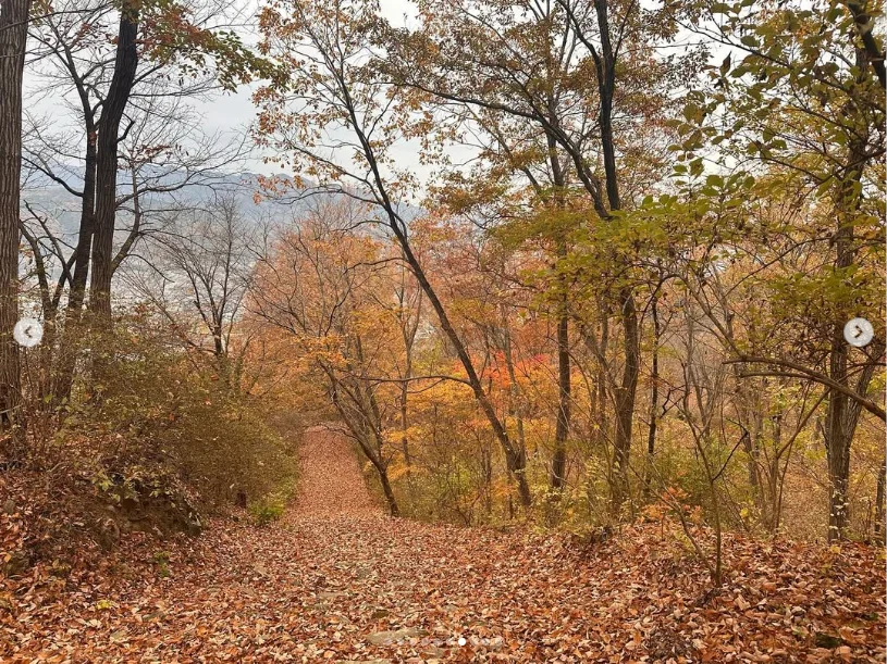Autumn colours on a morning without a sea of clouds — Haruru’s photograph