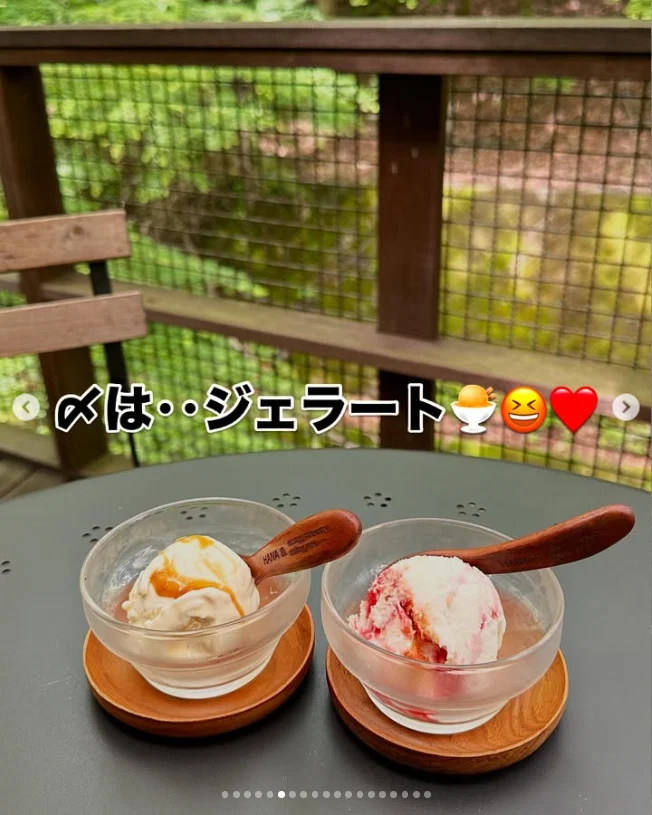 An early start and breakfast among the leaves — Haruru’s photograph