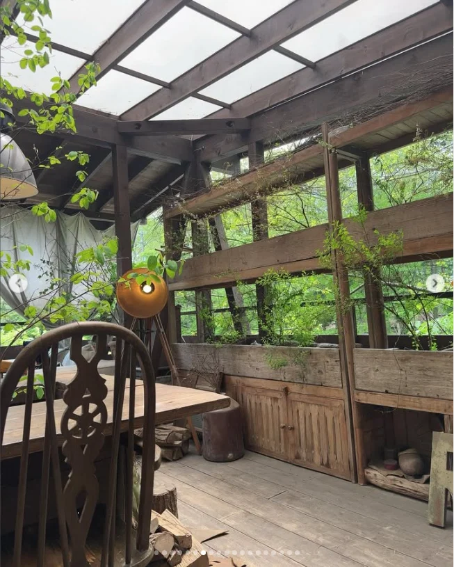 Wooden tables, greenery and colours on the table — Haruru’s photograph