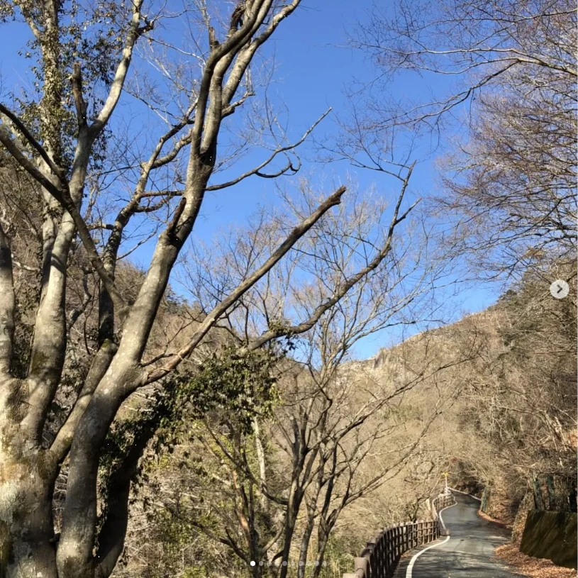 山梨で一泊2日。温泉、いちご狩り、河口湖へ — ハルルの写真