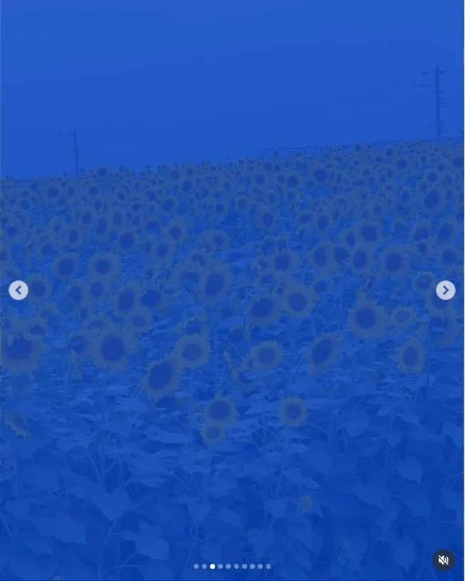 諏訪湖の花火から大町の宿へ。ひまわりも楽しんだ一泊二日の旅 — ハルルの写真