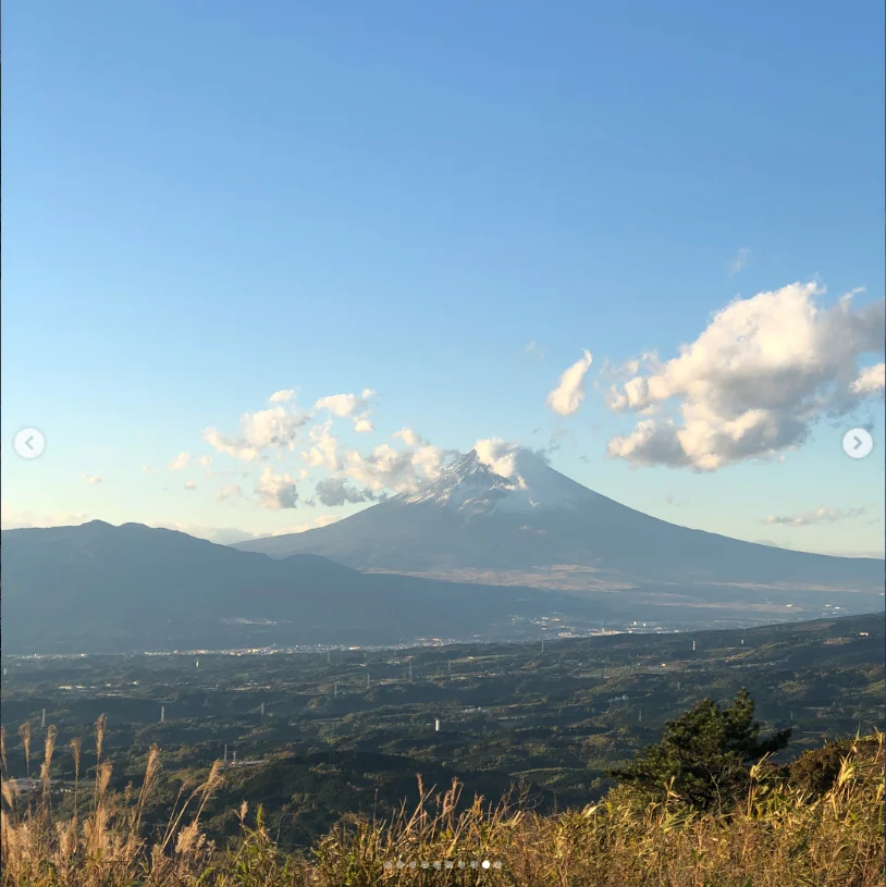 Pink flowers, mandarin trees and Fuji on the way home — Haruru’s photograph