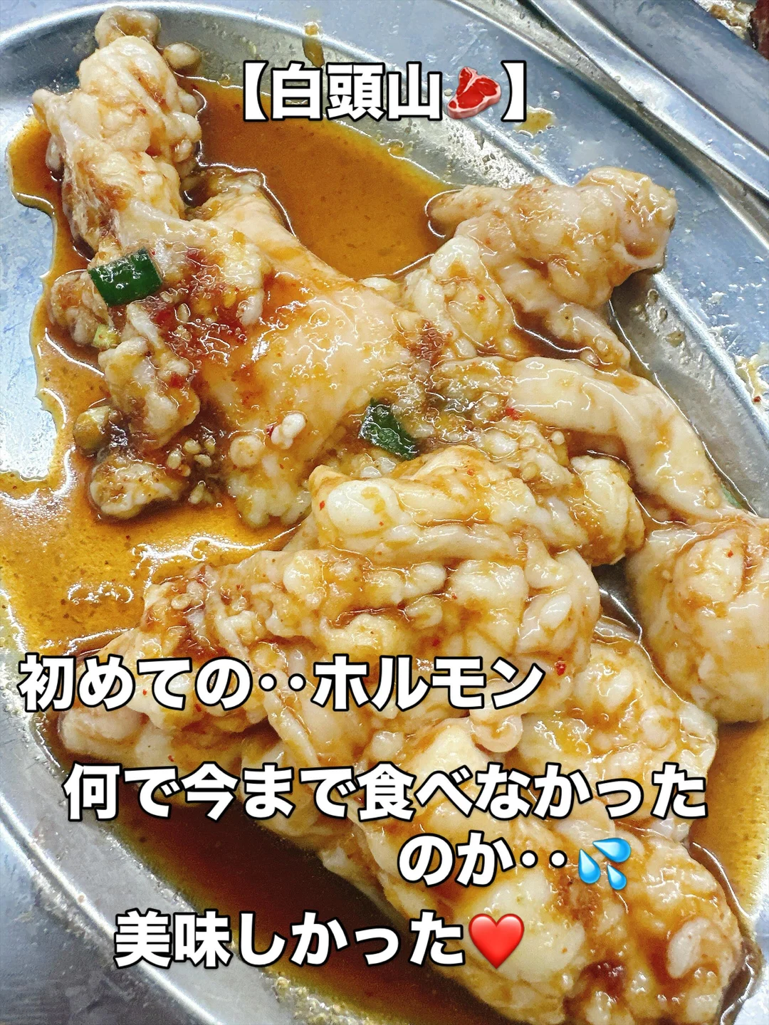 料理の書き込みと白頭山の看板 — ハルルの写真