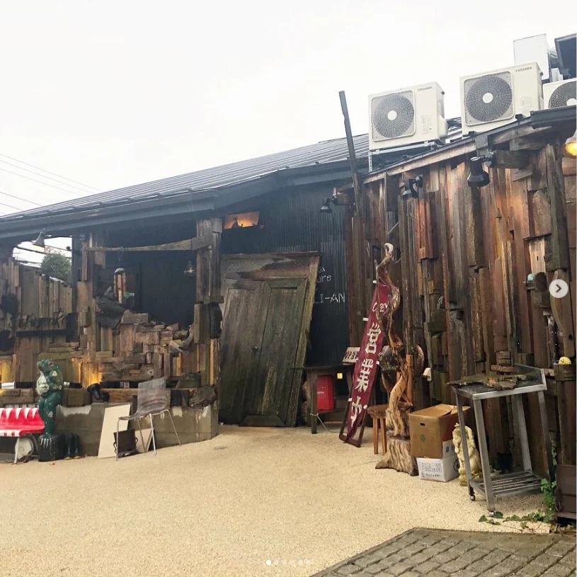 A recommendation helped her through the door — Haruru’s photograph