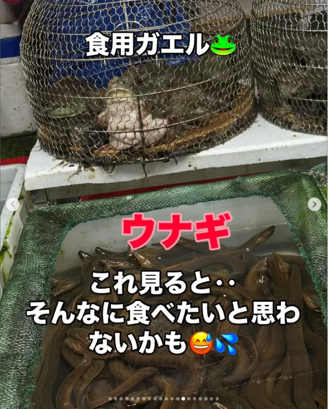 食後の市場で、料理とは違う驚き — ハルルの写真
