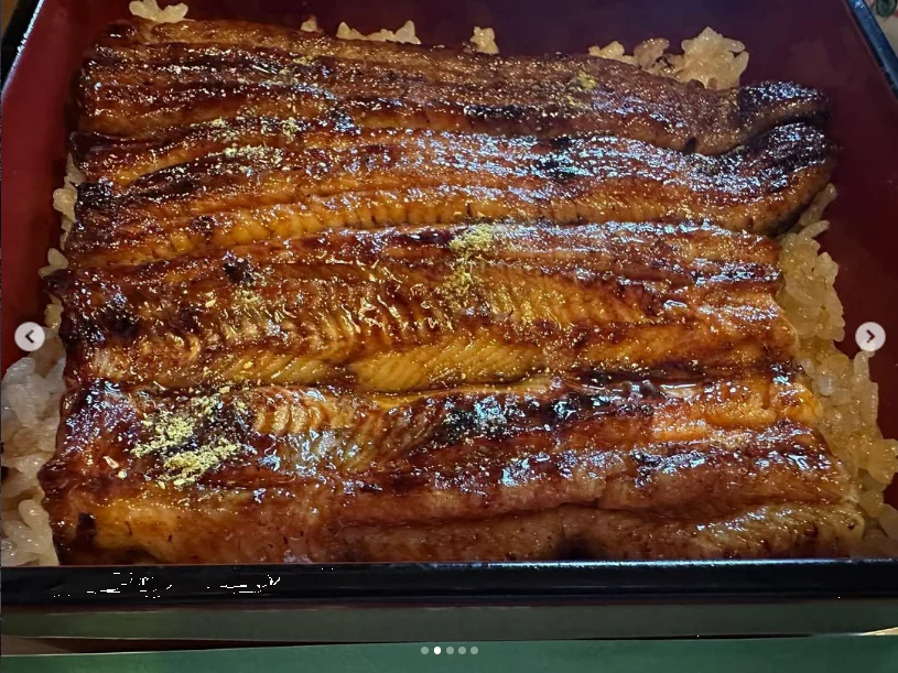 Eel she still enjoyed on her return — Haruru’s photograph