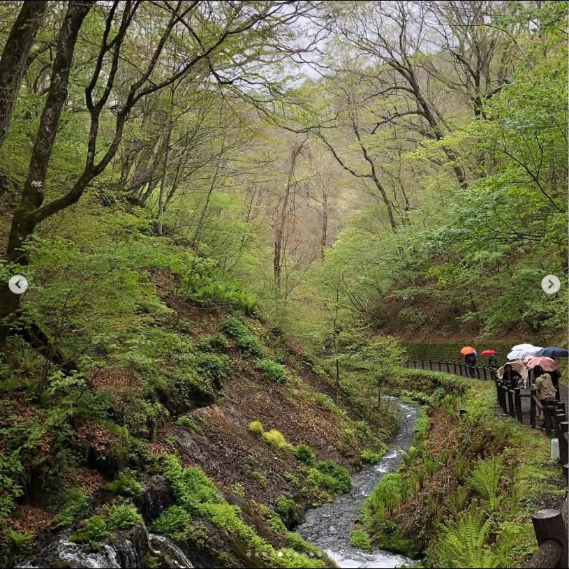 Morning rain sent the trip towards Karuizawa — Haruru’s photograph