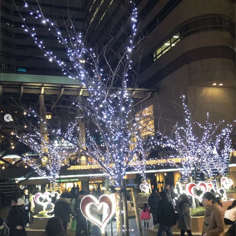 Christmas lights, shopping and an unexpected finish — Haruru’s photograph