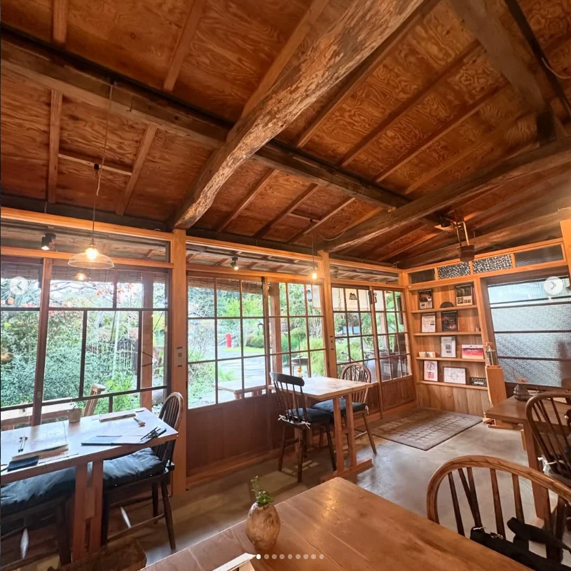 A special beginning, even close to home — Haruru’s photograph