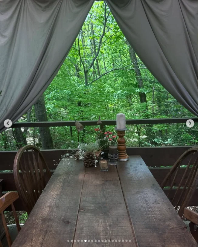 Wooden tables, greenery and colours on the table — Haruru’s photograph